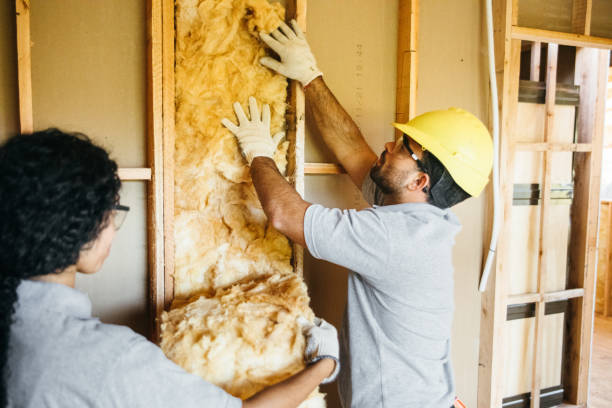 Best Cellulose Insulation  in Lmdale, PA